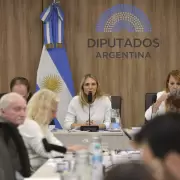 Jubilados: diputados opositores buscan extender la moratoria y aumentar el bono