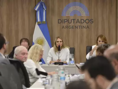 La reuni�n ser� liderada por la presidenta de la comisi�n, Gabriela Brouwer (UCR), y el titular de presupuesto, Jos� Luis Espert.