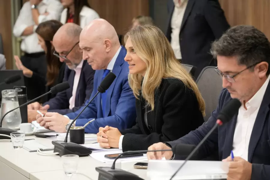 Comisi�n de Seguridad y Previsi�n Social