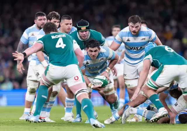 Los Pumas y un a�o movidito