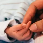 Mortalidad infantil: el precio de ignorar la nutrici�n y la pobreza