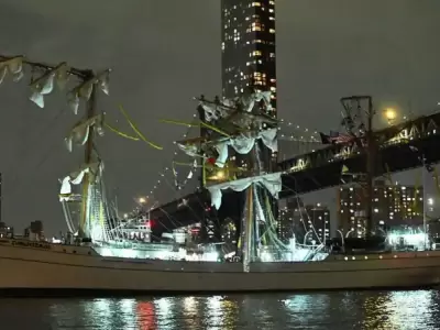 El choque destruy� parte de la arboladura de la nave.