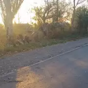 Tragedia en Lavalle: muri� al volcar con su auto y chocar contra una arboleda