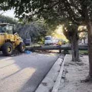 Un motociclista muri� aplastado por un �rbol en medio del temporal en C�rdoba