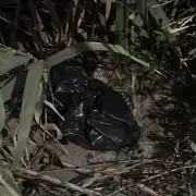 Encontraron a una beba muerta dentro de una bolsa de basura en un ca�averal