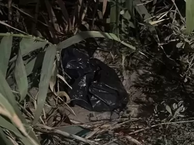 Hallaron el cuerpo de una beb� dentro de una bolsa de residuos en medio de un ca�averal. Fuente: Diario Huarpe de San Juan