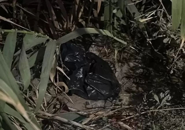 Hallaron el cuerpo de una beb� dentro de una bolsa de residuos en medio de un ca�averal. Fuente: Diario Huarpe de San Juan