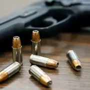 El Gobierno agilizó el trámite para obtener el permiso de tenencia de armas