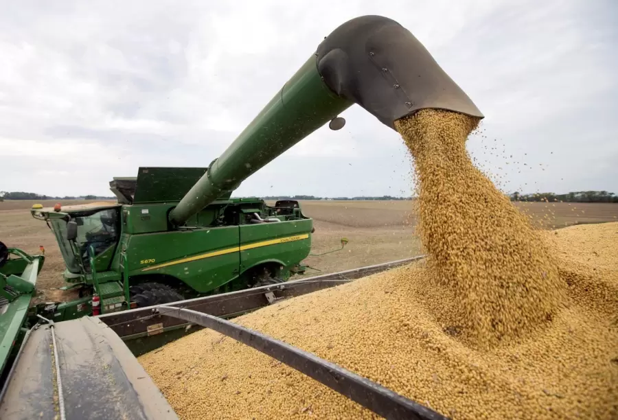La Argentina está cerca de producir casi 48 millones de toneladas de soja. (Foto: archivo web)