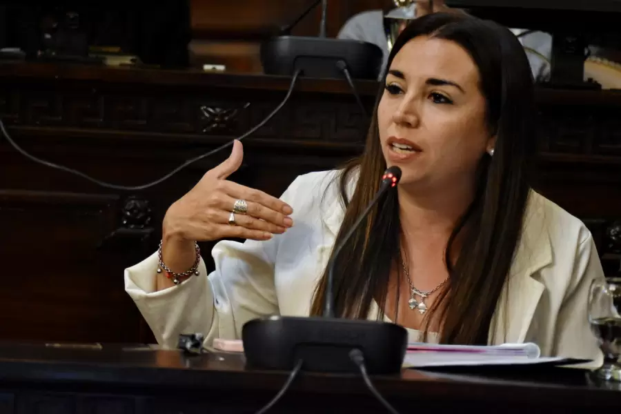 Diputada Cintia G�mez (PRO - LAUM).