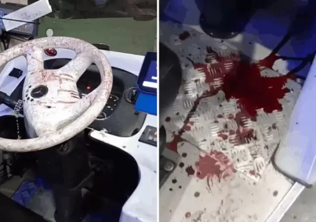Video impactante: apu�alaron a un chofer en pleno recorrido y todo qued� grabado