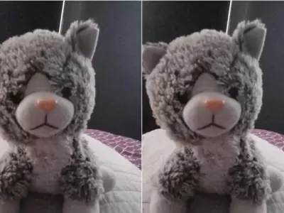 El oso de peluche de Ramiro, el chico con TEA/