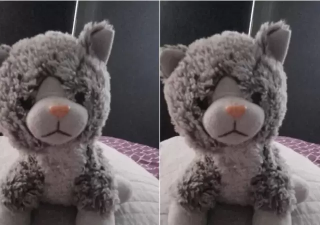 El oso de peluche de Ramiro, el chico con TEA/