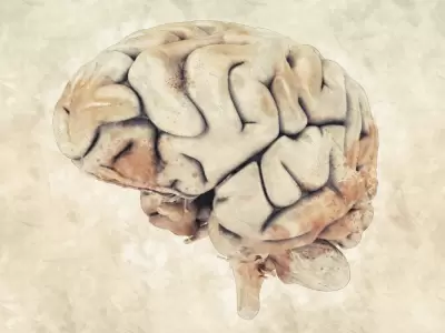 Qu� pasa en el cerebro cuando el coraz�n se detiene, seg�n Conrado Estol.
