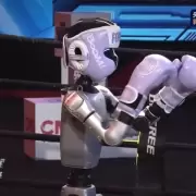 Video: China realiz� el primer campeonato de boxeo entre robots humanoides