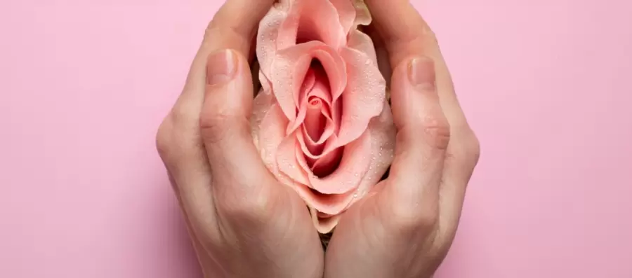 Seguramente todos hemos escuchado que nuestras mam�s, primas, amigas o nosotras estamos llegando o cursando por un periodo de menopausia.
