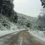 Nevadas en Mendoza: rutas cortadas y extrema precauci�n en zonas de monta�a