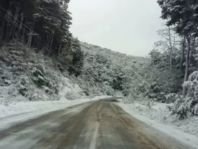 Nevadas en Mendoza: rutas cortadas y extrema precauci�n en zonas de monta�a