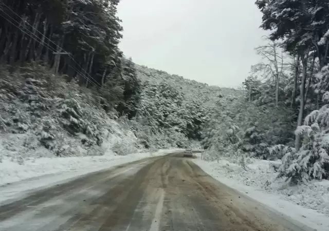 Nevadas en Mendoza: rutas cortadas y extrema precauci�n en zonas de monta�a