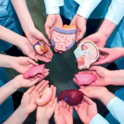 Día Nacional de la Donación de Órganos: ¿por qué se conmemora hoy?