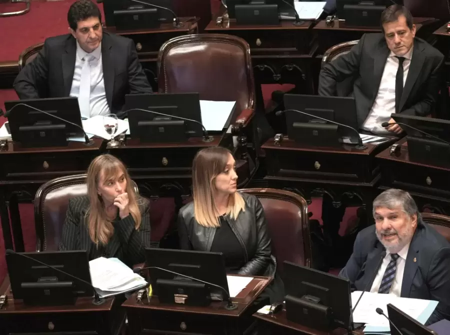La visión de los peronistas