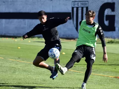 lobo-entrenamiento