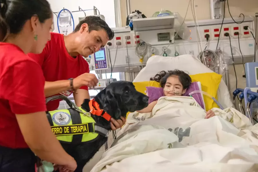 La salud infantil vista desde diversos �ngulos