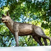 La heroica historia de Chonino, quien dio origen al Día del Perro en Argentina
