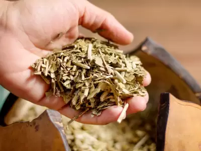 Yerba Mate