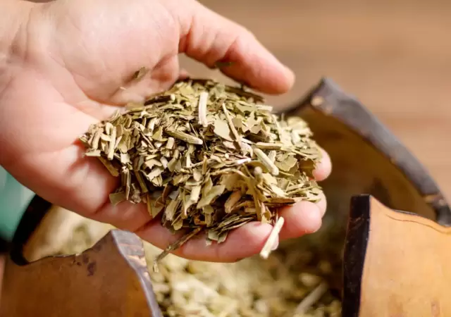 Yerba Mate