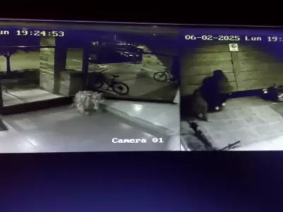 Una c�mara de seguridad registr� el robo que dur� menos de un minuto.