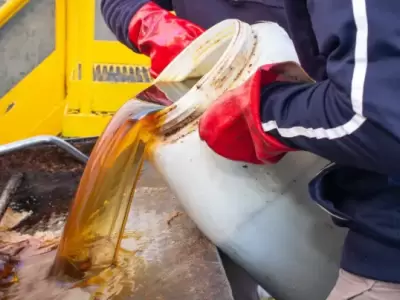 Los comercios gastron�micos son los que m�s generan aceite vegetal usado que puede ser recuperado para el biodi�sel de segunda generaci�n.
