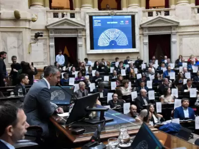 "No estamos ante una duda reglamentaria. Es una situaci�n pol�tica que tiene que resolver la comisi�n", argument� Menem.