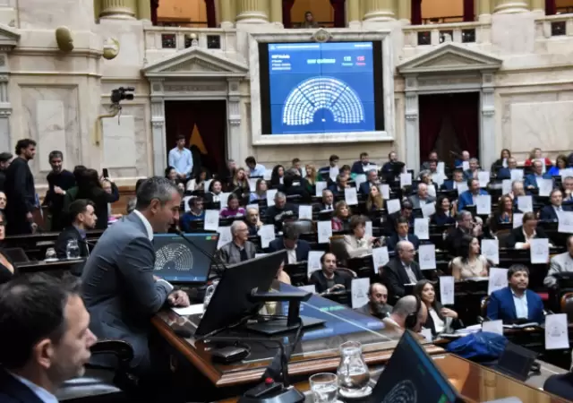 "No estamos ante una duda reglamentaria. Es una situaci�n pol�tica que tiene que resolver la comisi�n", argument� Menem.