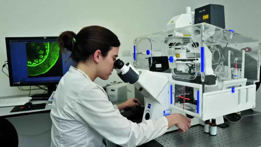 Investigación en cientias médicas