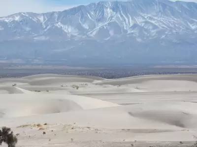 Dunas de Tat�n