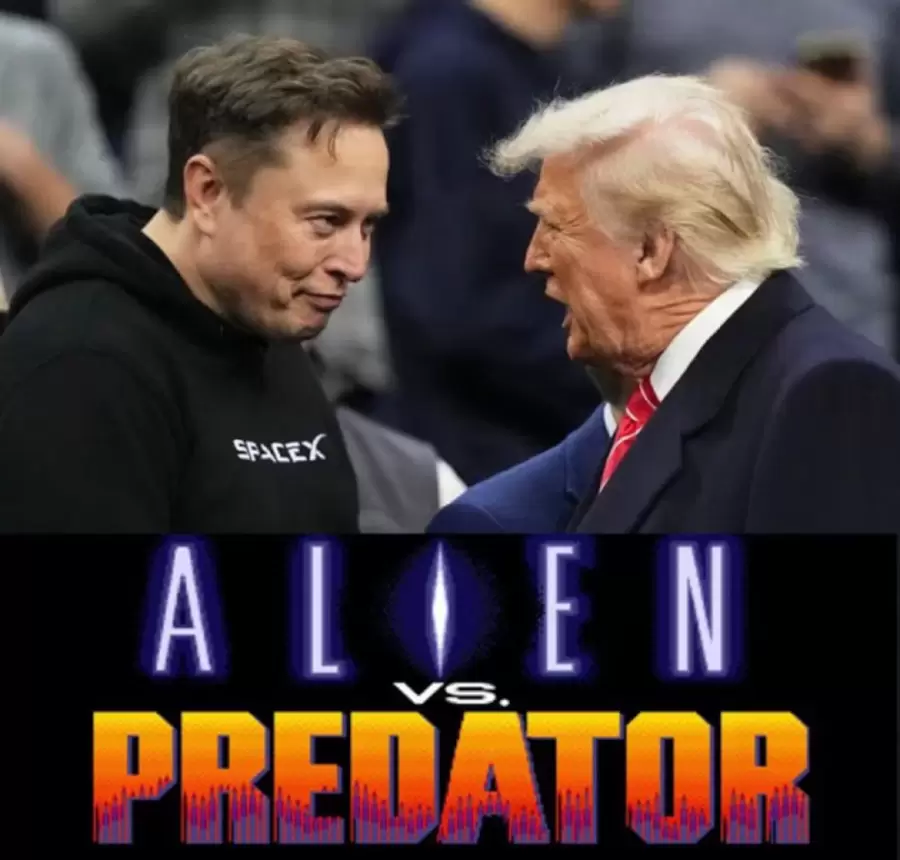 Memes de la batalla entre Donald Trump e Elon Musk.