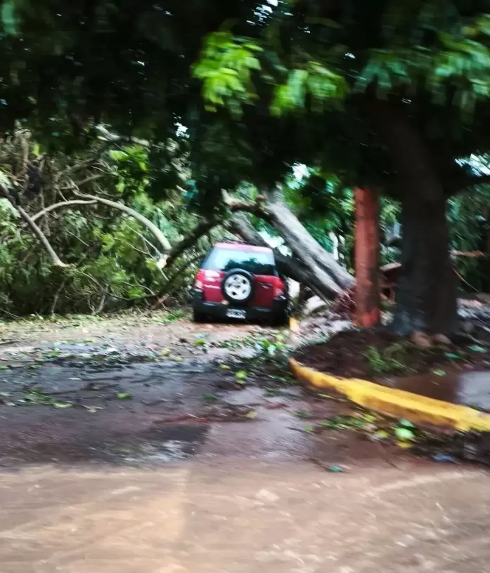 Destrozos materiales en Puerto Iguaz� por el temporal. (Foto: Redes sociales)
