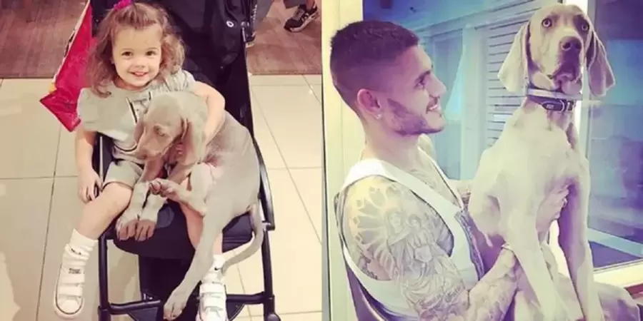 Mauro Icardi junto a Coco.