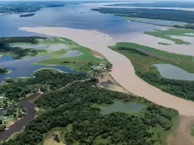Amazonia