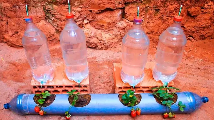 Riego por goteo con botellas de pl�stico /Fuente: Pinterest