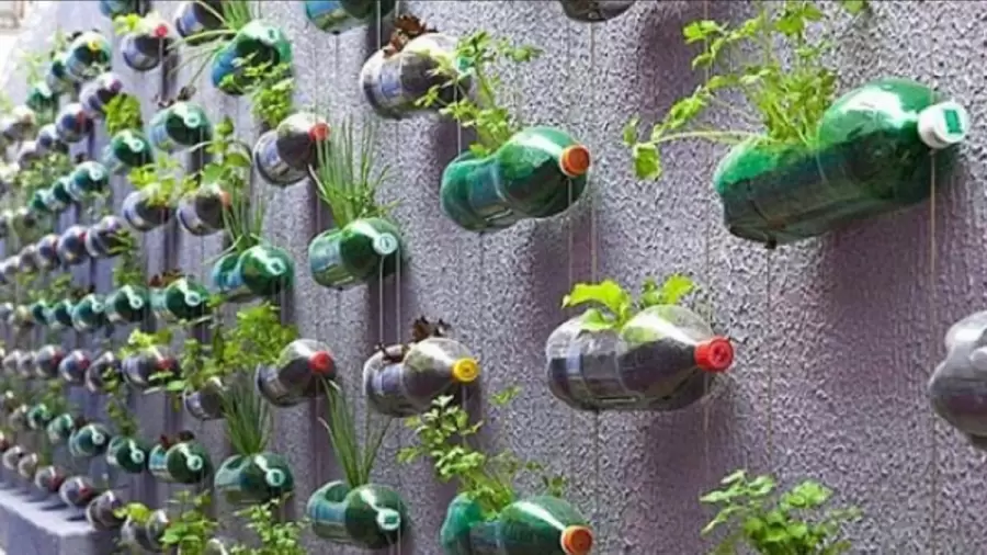 Macetas con botellas de pl�stico/ Fuente: Web