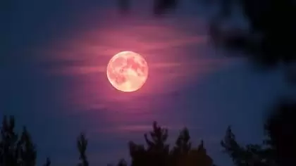 La luna alcanzará su punto máximo de esplendor este miércoles 11 de junio. Fuente: Web