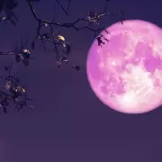 Luna de Fresa 2025: qu� significa y c�mo hacer el ritual para atraer buena energ�a