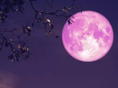 Luna de Fresa.