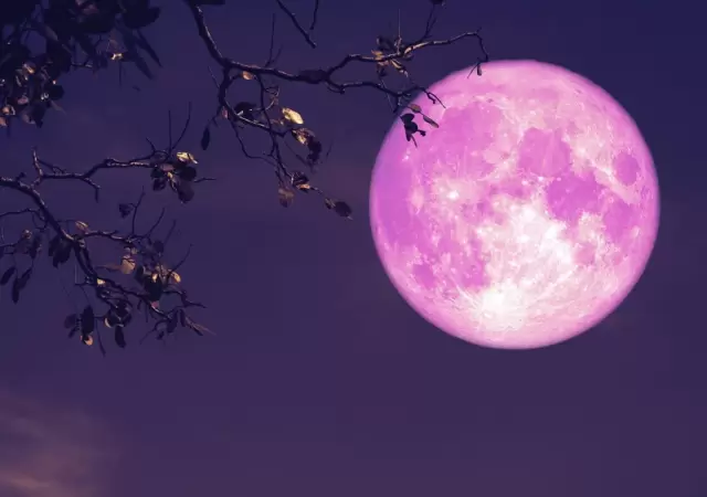 Luna de Fresa.