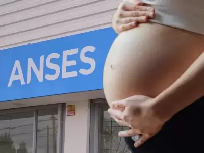 El calendario de ANSES para la AUE se desarrollar� hasta el mi�rcoles 25 de junio.