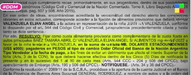 Resoluci�n judicial.