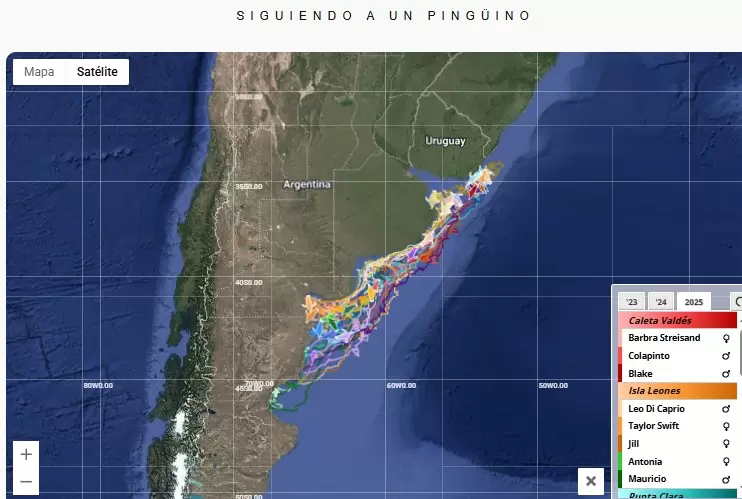 El proyecto comenz� como una manera creativa de acercar la ciencia a nuevos p�blicos.