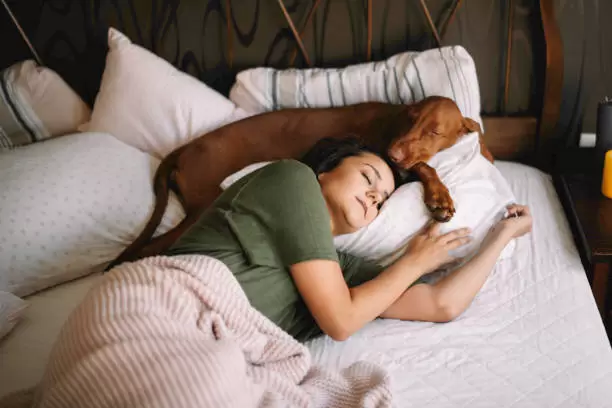 Perros duermen con sus due�os.
